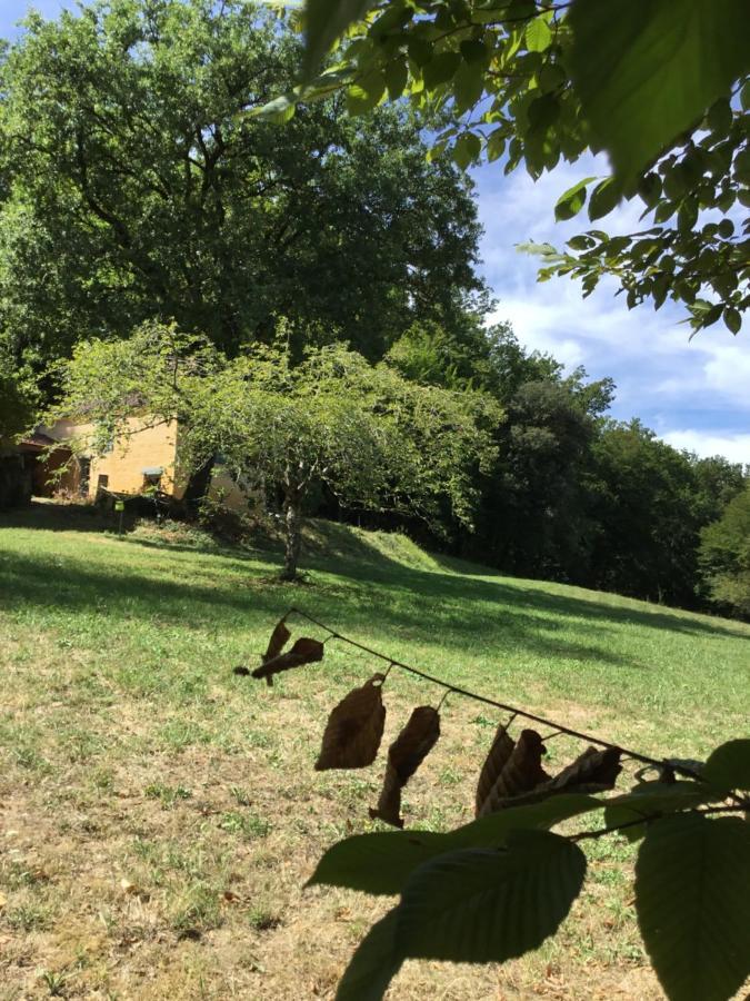 Logis Des 4 Fees Et Son Bain Nordique Villa Sainte-Nathalene Exterior photo